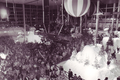 Celebrating 40 Years 40 Years WOW Image Content 2