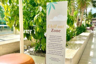 Chill Out Zone Image Content 1