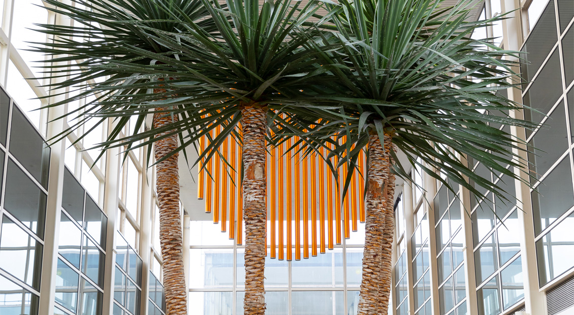 Mental Health 2024 Discovery Trail Blog Banner Image