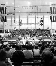 Celebrating 40 Years 40 Years WOW Image Content 4