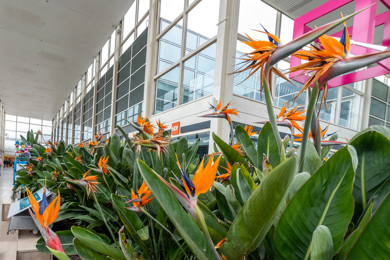 Developing A Sustainable Centremk Blog 1 Image Content 3