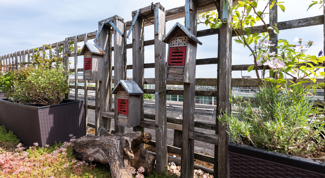 Developing A Sustainable Centre Mk | The Future Banner