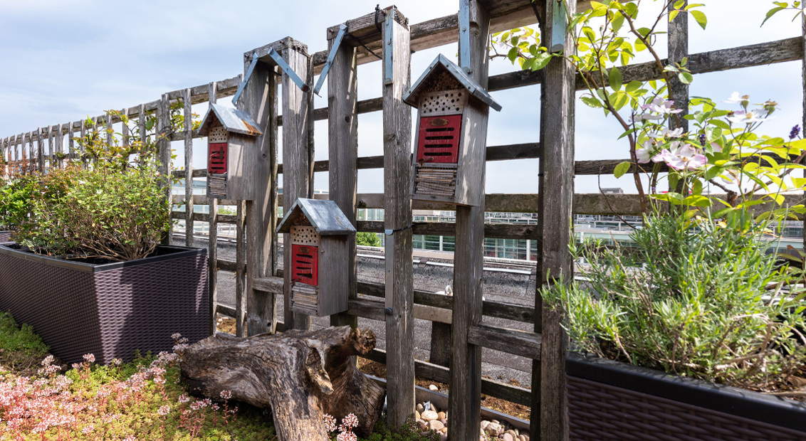 Developing A Sustainable Centre Mk | The Future Banner