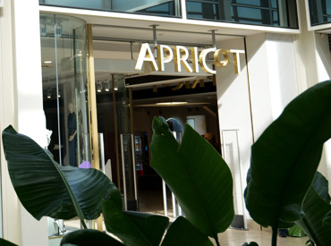 Apricot Frontage